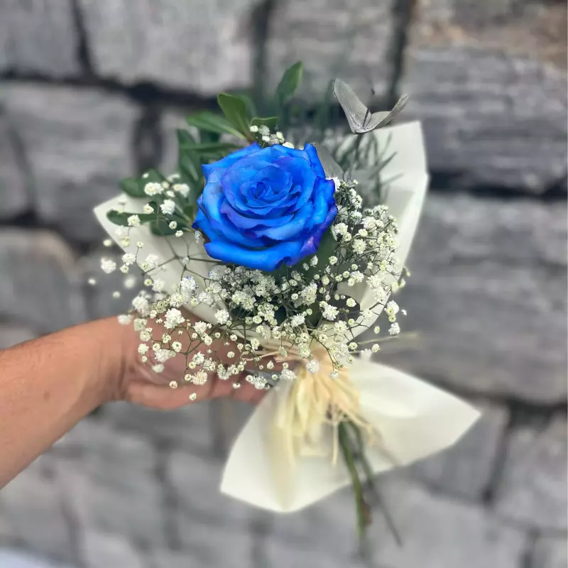 Unidade rosa azul decorado