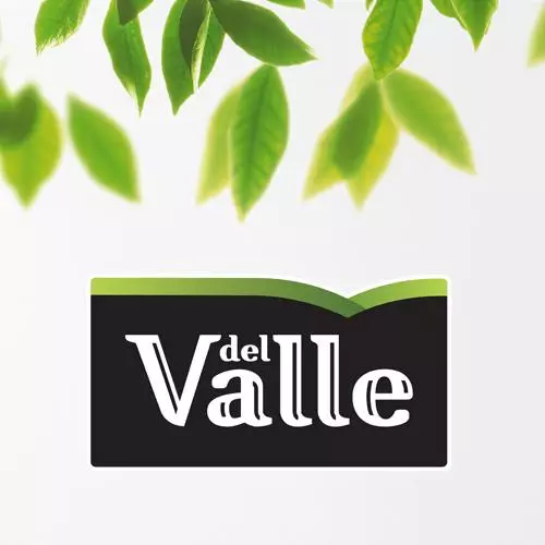SUCO DELL VALLE UVA  450 ML