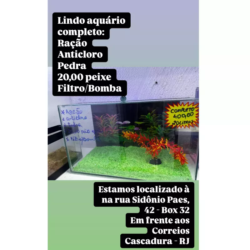 Aquário 20L completo