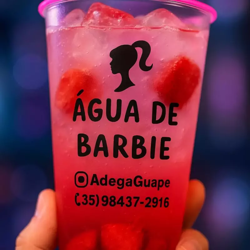 Copão Gin de Melancia 700ml