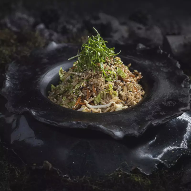 WOK DE VEGETALES Y ARROZ CON POLLO