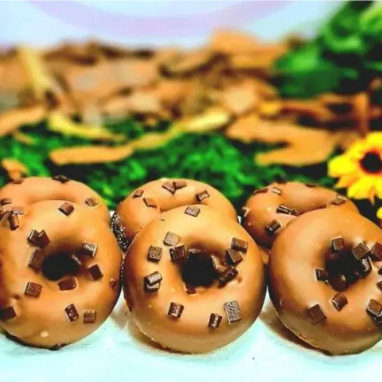Baby Donuts Choc