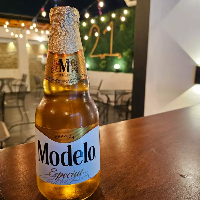 Cerveza Modelo Especial(vidrio)355ml