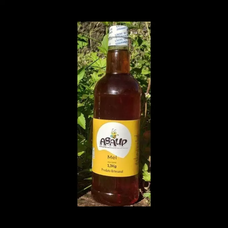 Mel de abelha (1,3 kg)