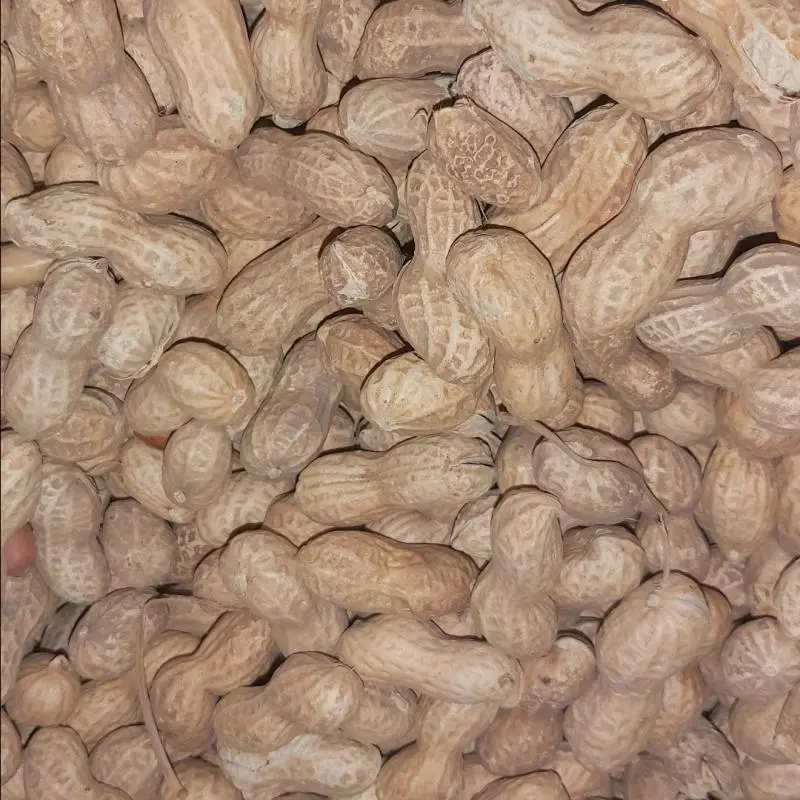 Maní  con cascara