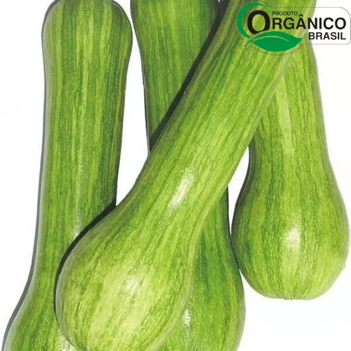 Abobrinha Brasileira Orgânica 500g