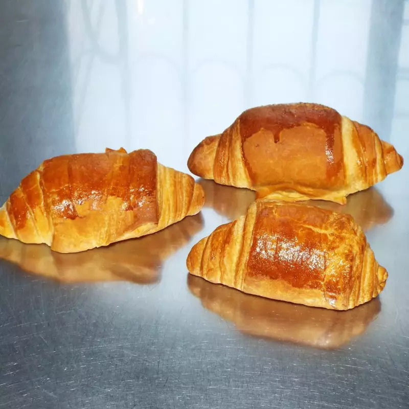 Pan Enrollado (8 uds)