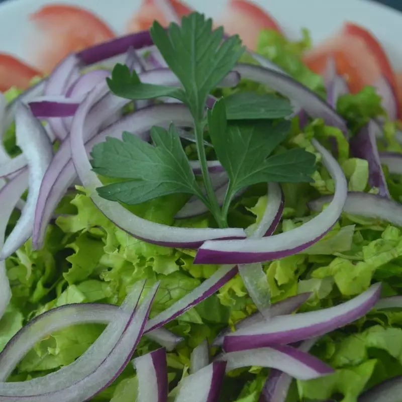 Salada mixta alface tomate e cebola