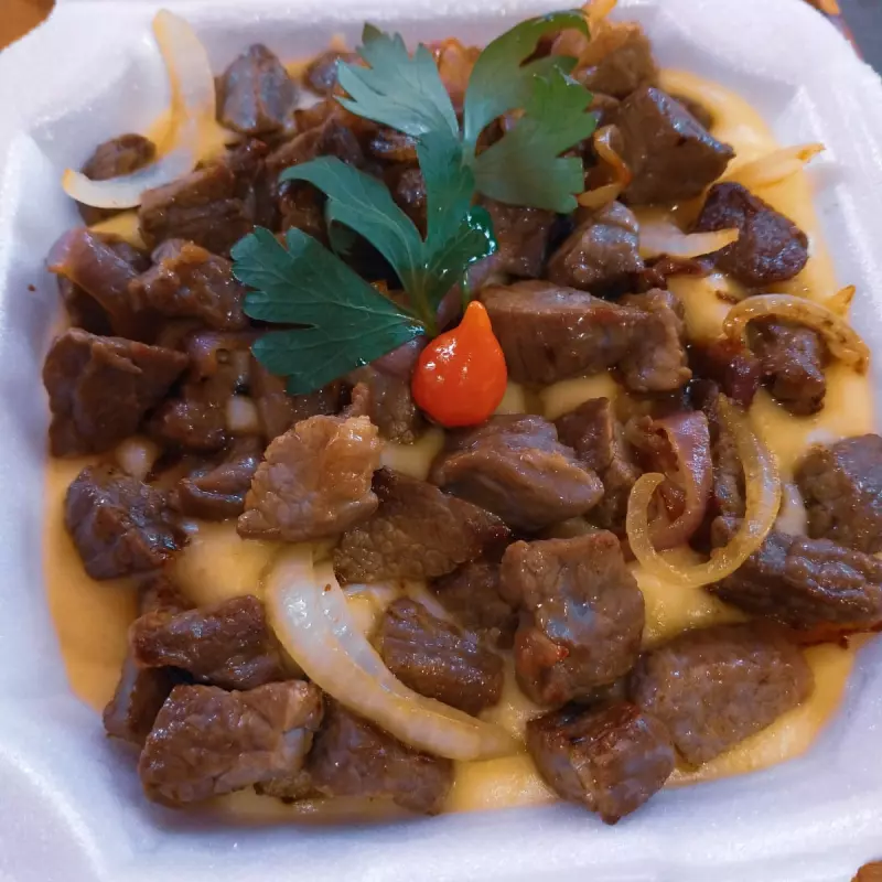 Escondidinho de carne do sol