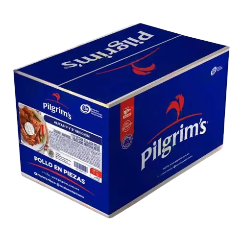 ALITA PILGRIMS 12KG