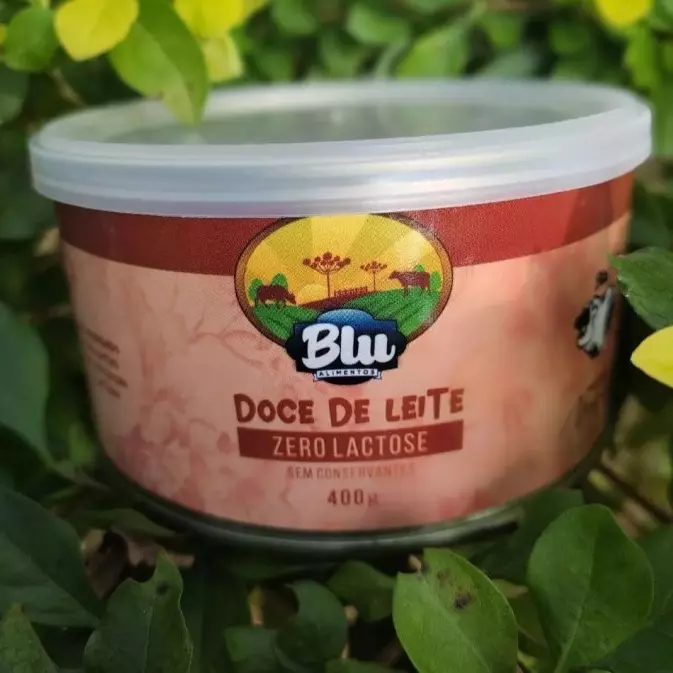 DOCE DE LEITE ZERO LACTOSE 400G