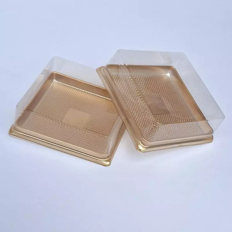 Contenedor cuadrado plano sanduche