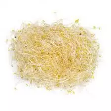 Germinado de Alfalfa a Granel
