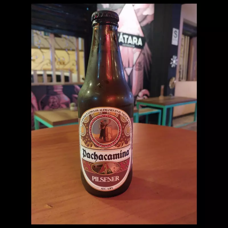 CRAFTMAN - PACHACAMINA