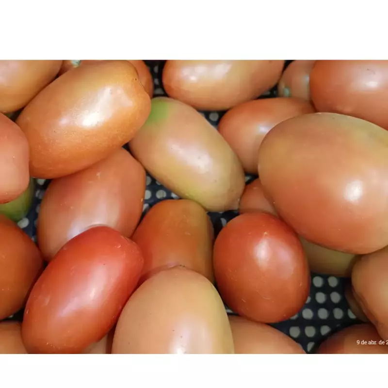 TOMATE ITALIANO ORG. 500gr