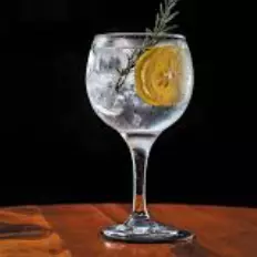 GIN TÔNICA
