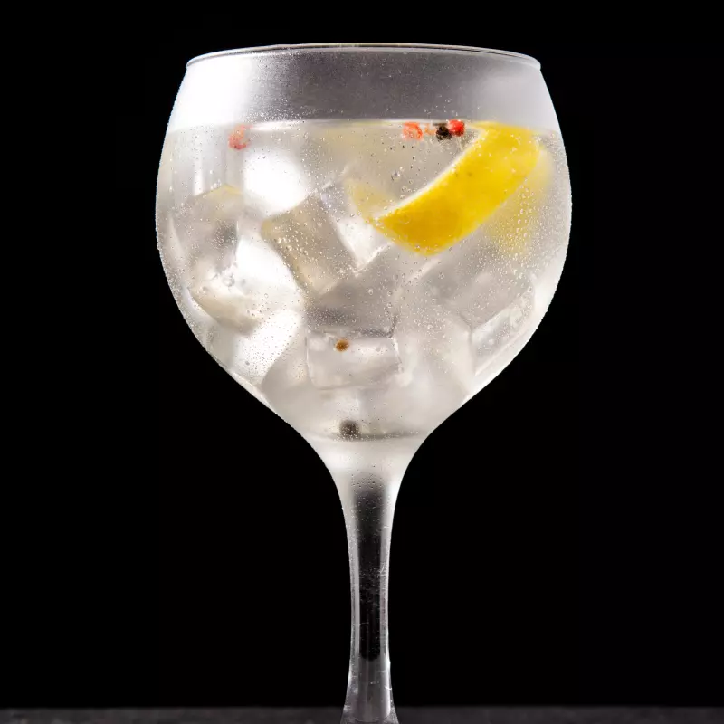 Gin Gordons Tônica Refil