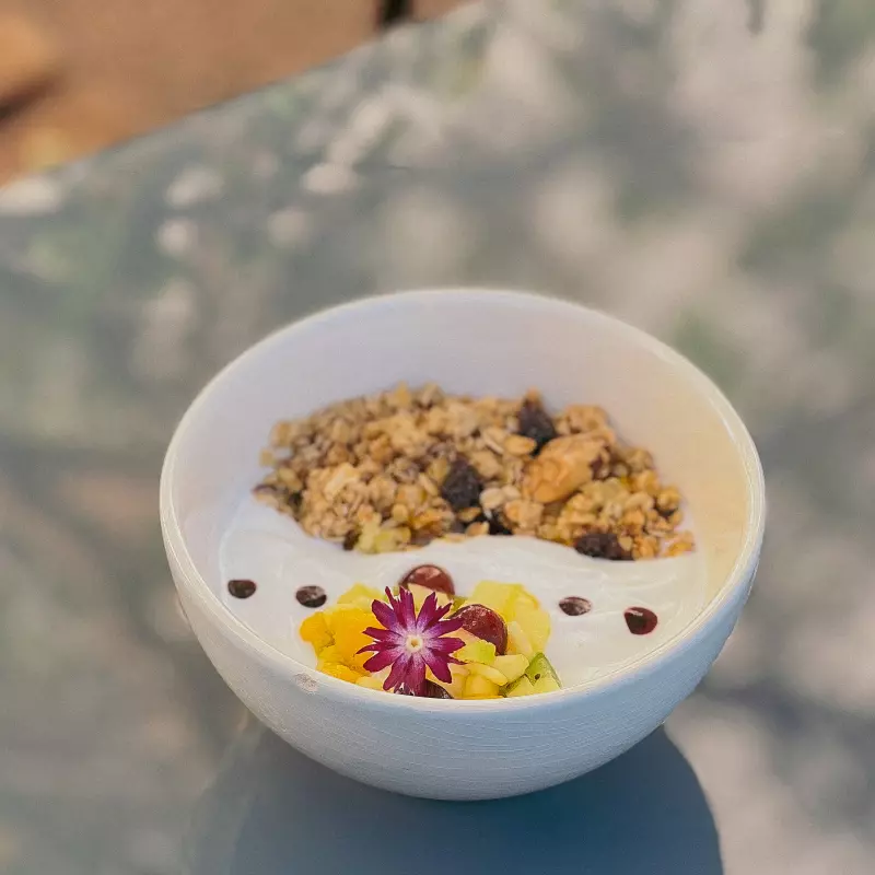 Iogurte Perfeito (Vegano)