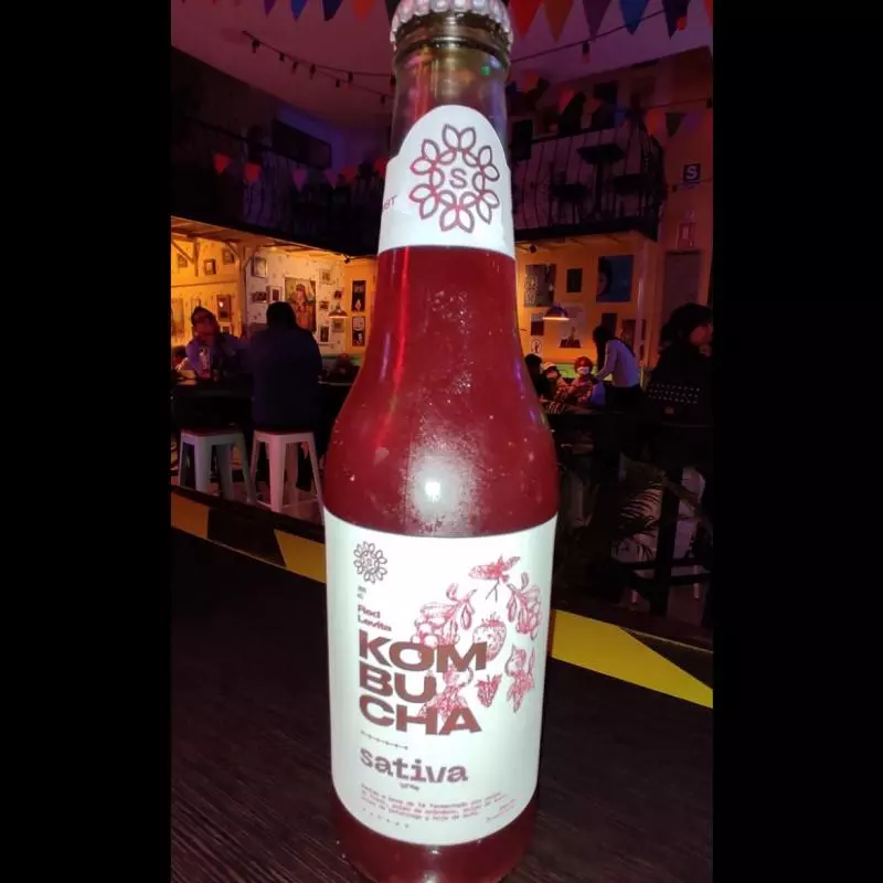 KOMBUCHA-FRUTOS ROJOS (Red Levita)