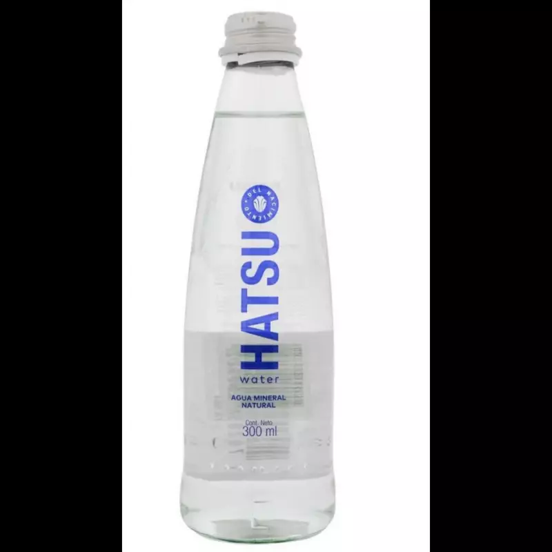 Agua 500 Ml
