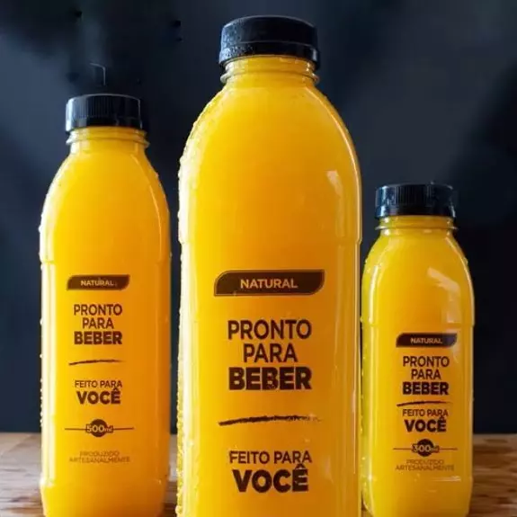 Sucos Para Viajem 300ml