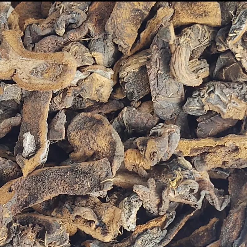 COGUMELO FUNGHI SECO