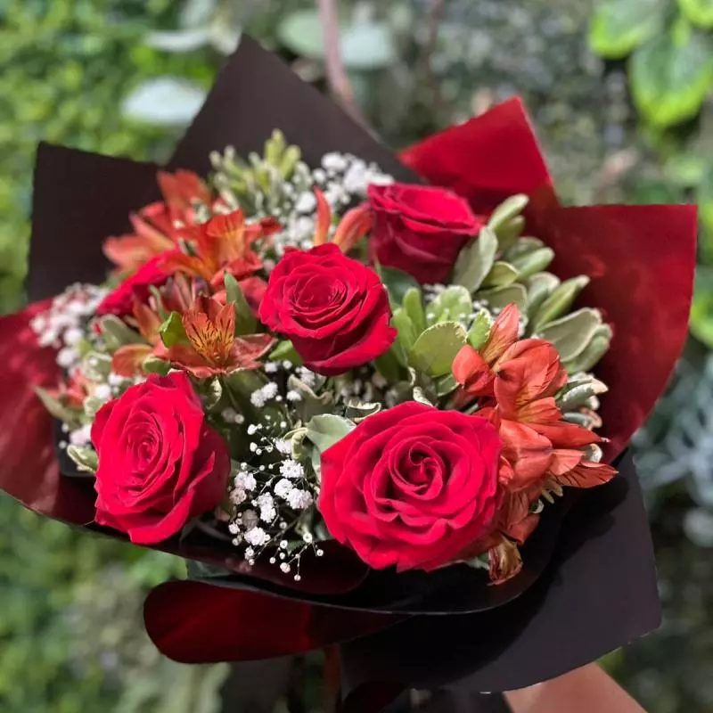 ESPECIAL DIA DAS MÃES