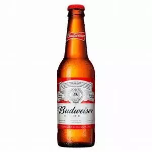 BUDWEISER LONG NECK