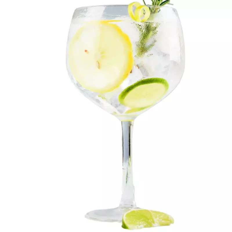 Gin Tônica Terpenada
