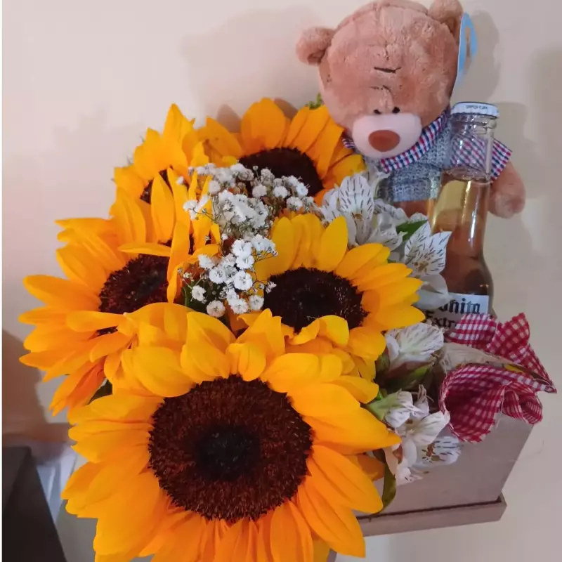 Box Girasol