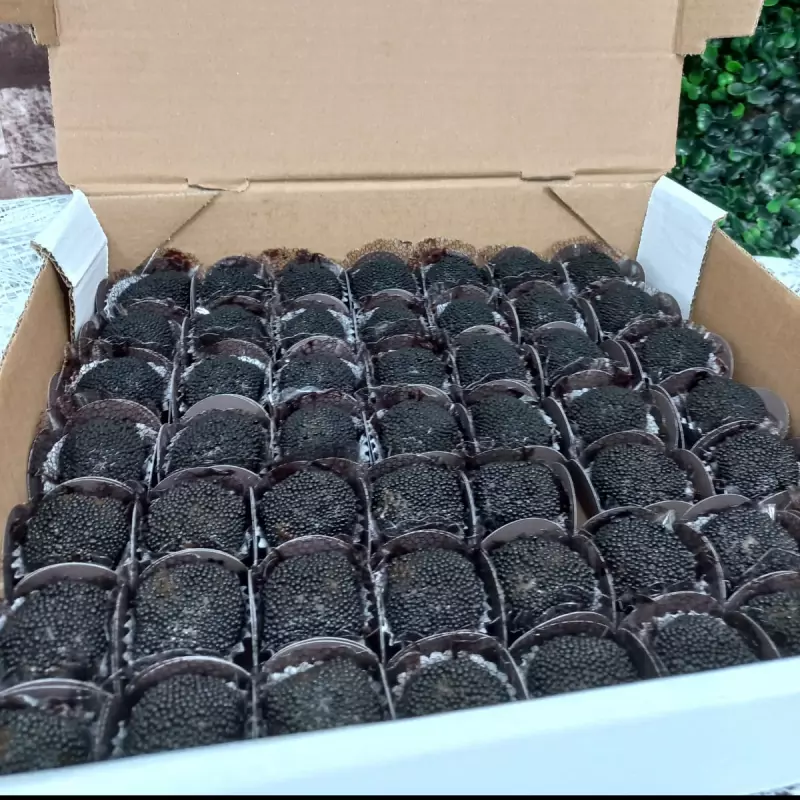 CENTO DOCINHOS CAFÉ