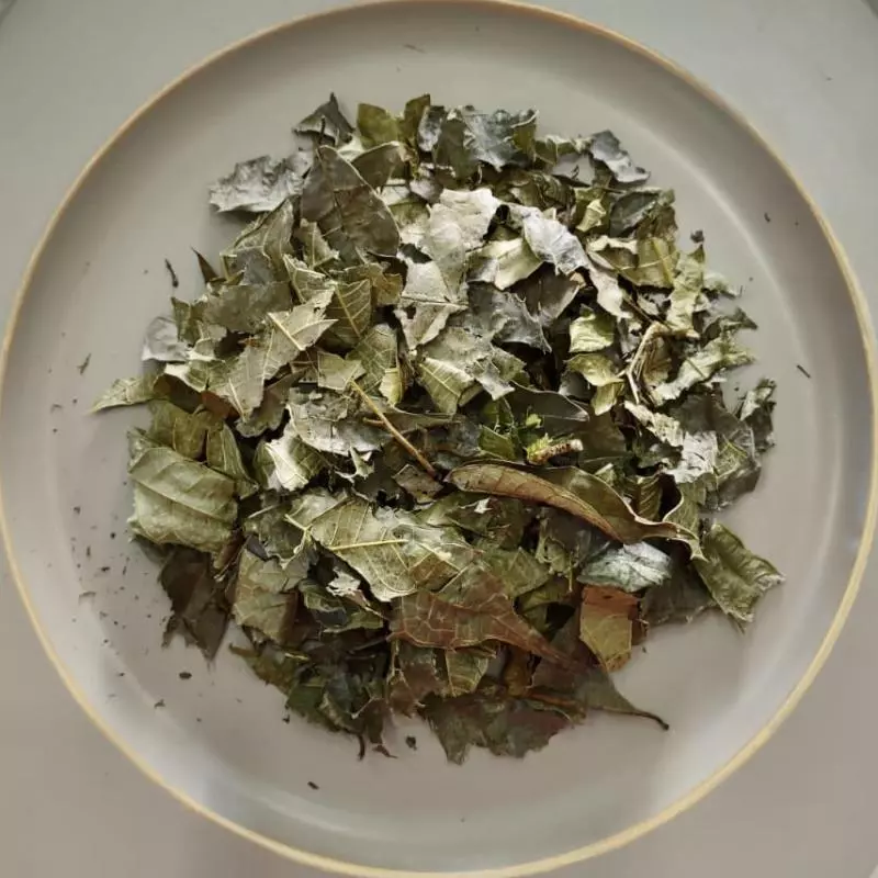 Chá de Espinheira Santa 100grs