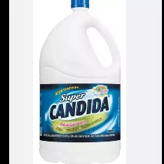 Água Sanitaria   2 L