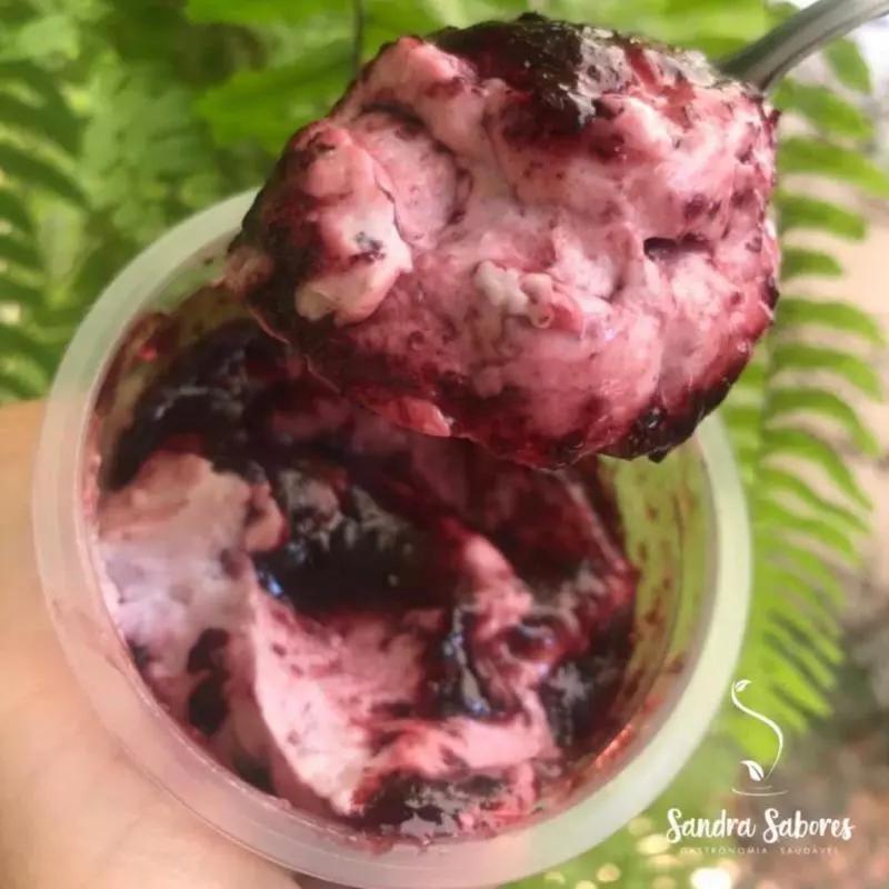 Cream Cheese de probióticos naturais Low Carb