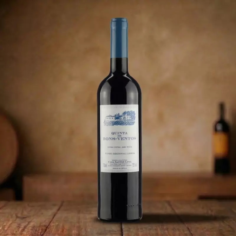 Vinho Bons Ventos Tinto 750ml 🇵🇹