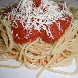 Bolognesa