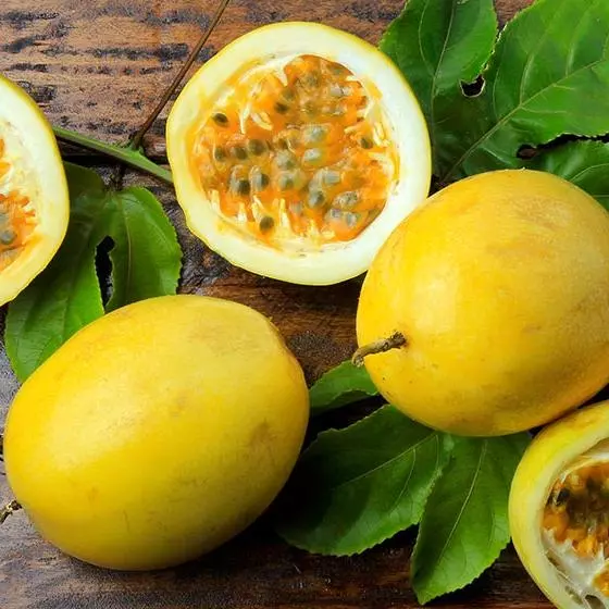 Maracuya