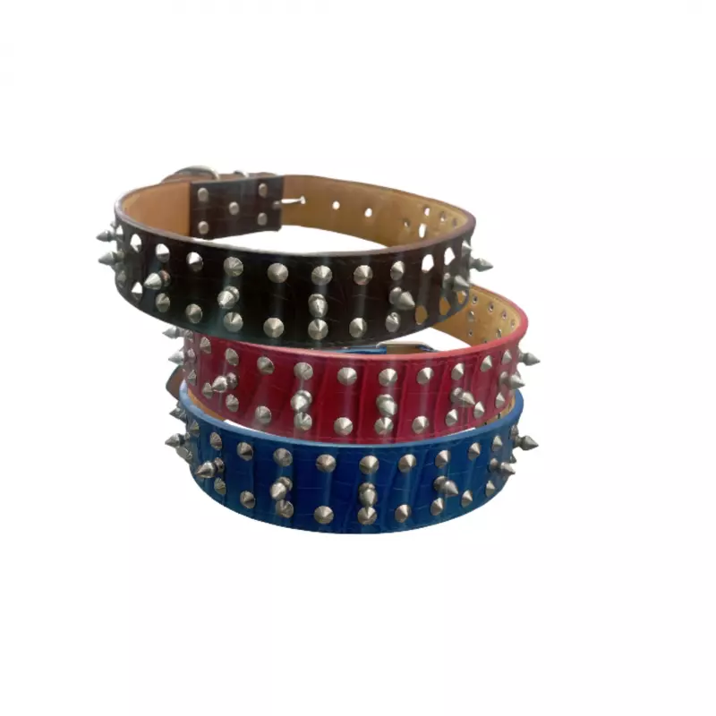 Collar Cuero Cocodrilo c/Tachas