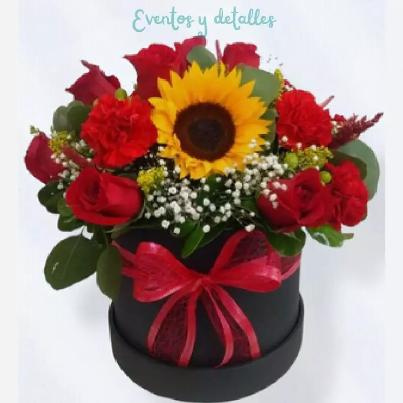 Box Rosa Bella