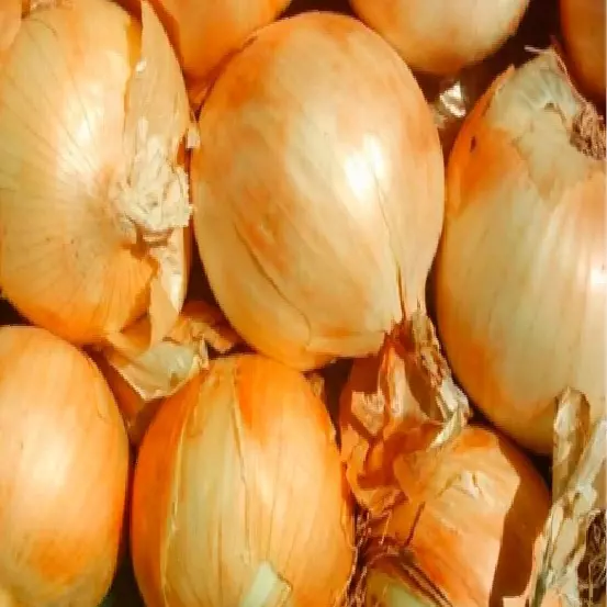 CEBOLLA BLANCA SUELTA KILO