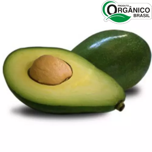 Abacate Orgânico 500g