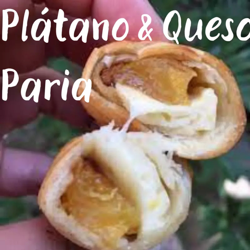 Teque de Plátano & Queso Paria Fritos
