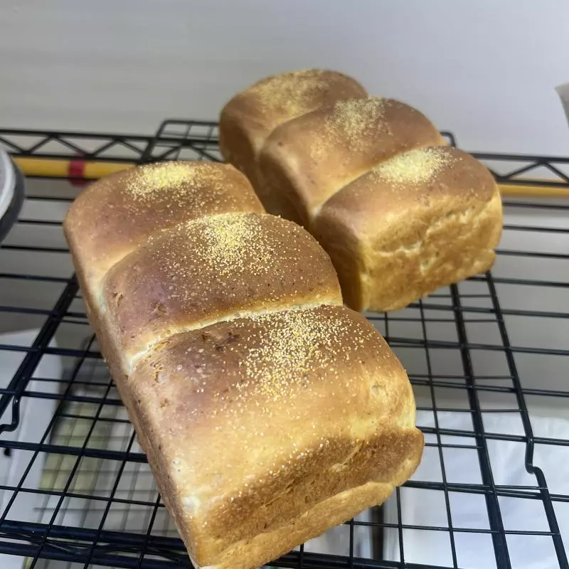 Pão Broa de Milho