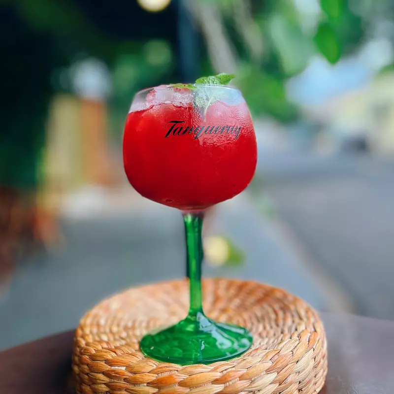 Gin Tônica de Frutas Vermelhas