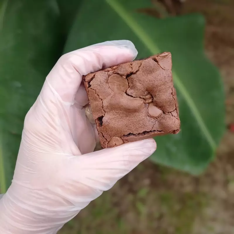 Brownie Chocolatudo