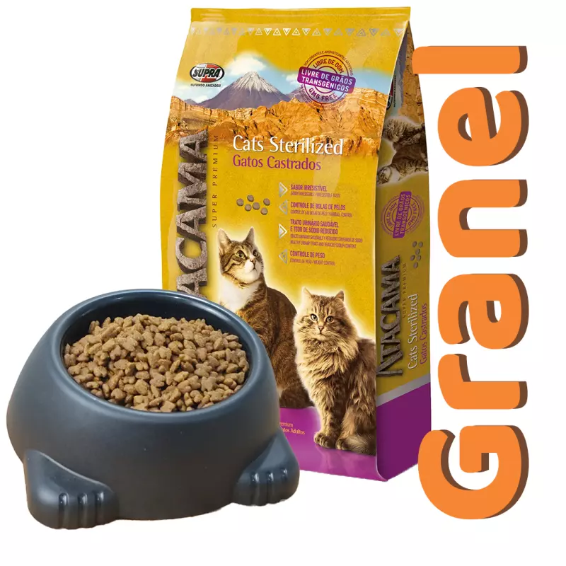 Atacama Gatos Castrados