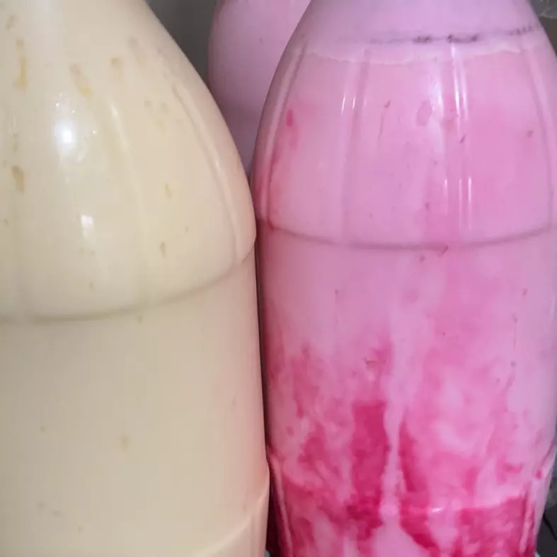 Iogurte Artesanal 2lts sabores