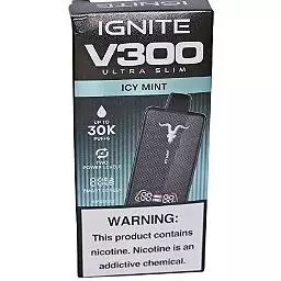 Icy Mint - 30.000 Puffs