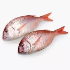 Pescado Pargo de 9 a 11lb