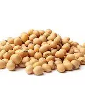 Soja em Grão - 100g